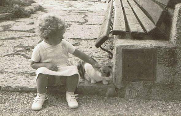 - (Psychologie, Hund, Katze)