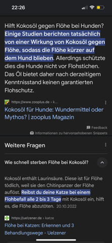 - (Katze, Flöhe)