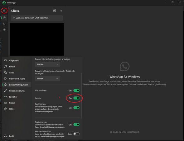 - (WhatsApp, Windows 11)