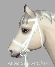  - (online, Star Stable)