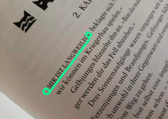 - (Warrior Cats, Buchreihe)