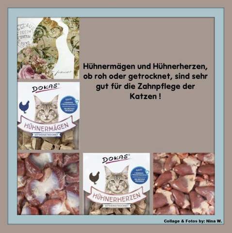  - (Ernährung, Hund, Katze)