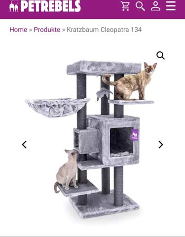 - (Hauskatze, Katzenhaltung, Kratzbaum)