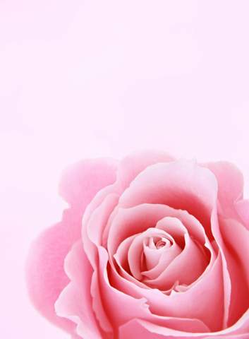 - (Farbe, Lieblingsfarbe)