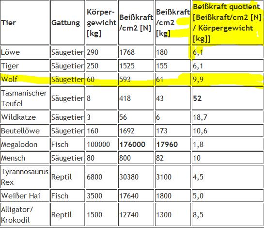 Was für ein Gewicht, Länge und Beißkraft wäre hier realistisch? (Tiere
