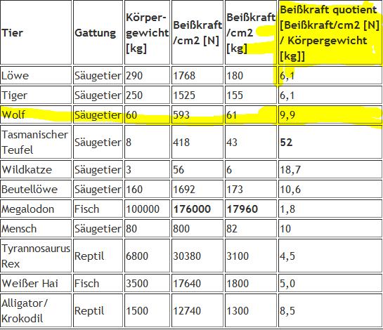 beisskraft hunderassen tabelle beissliste doglike fruher wurden hunde nach der arbeit eingeteilt die sie verrichteten wie z b drinterndvf