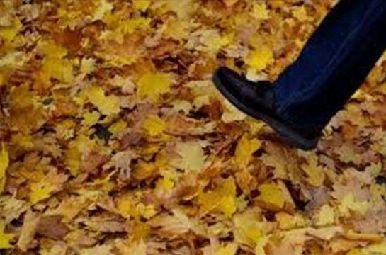 - (Herbst, Jahreszeiten)