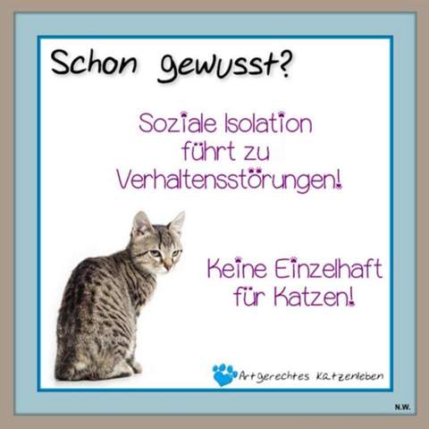  - (Katze, Tiermedizin, Tierschutz)