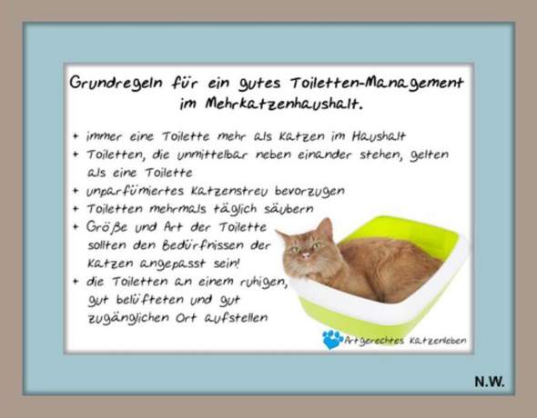  - (Katze, Tiermedizin, Tierschutz)