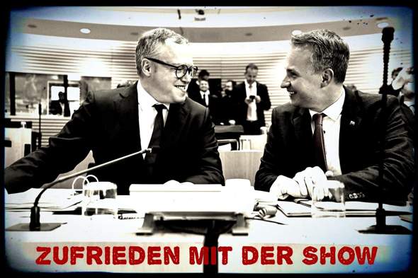 - (Politik, Deutschland, AfD)