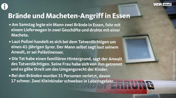 - (Frauen, Männer, Politik)
