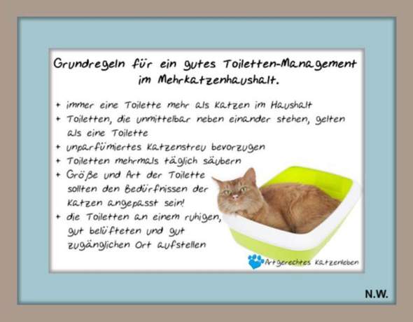 - (Katze, Kater, Tierhaltung)