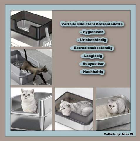 - (Katze, Kater, Tierhaltung)