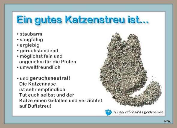 - (Katze, Kater, Tierhaltung)
