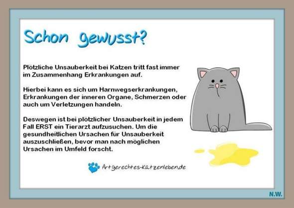 - (Katze, Kater, Tierhaltung)