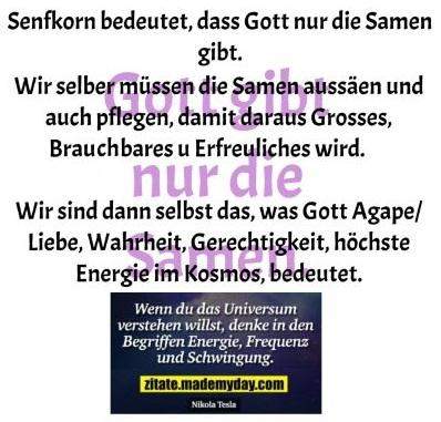 - (Weisheiten, Lebensführung)