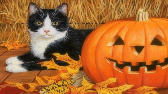 - (Party, Halloween)