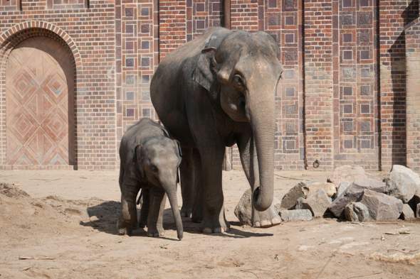 - (Freizeit, Zoo, Freizeitaktivitäten)