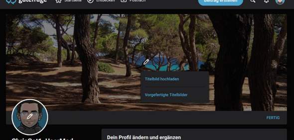 - (Profilbild, gutefrage.net-App, Hintergrundbild)