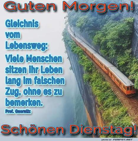 - (Kleidung, Mode, Gugumo)