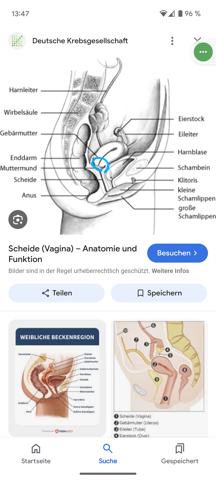 - (Vagina, Kugel)