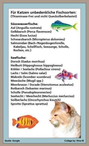- (Ernährung, Hund, Katze)