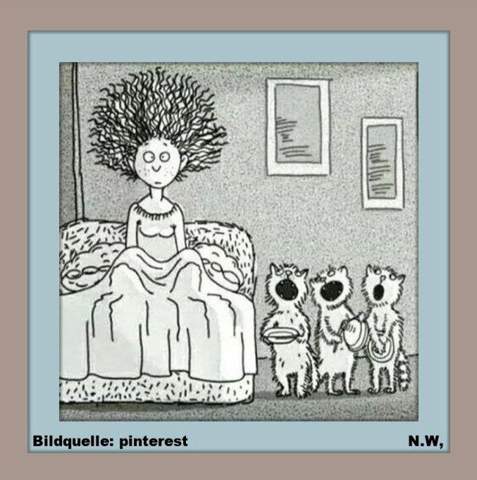 - (Katze, Kater, Tierhaltung)