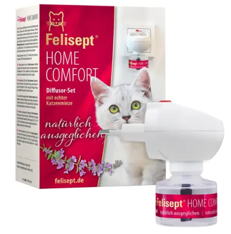 - (Katzenjunges, Zusammenführung, Zusammenführung von Katzen)
