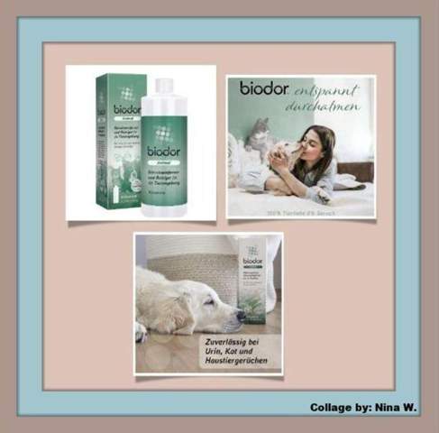- (Katze, Tiermedizin, Hauskatze)