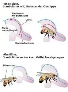 - (Christentum, Gott, Glaube)