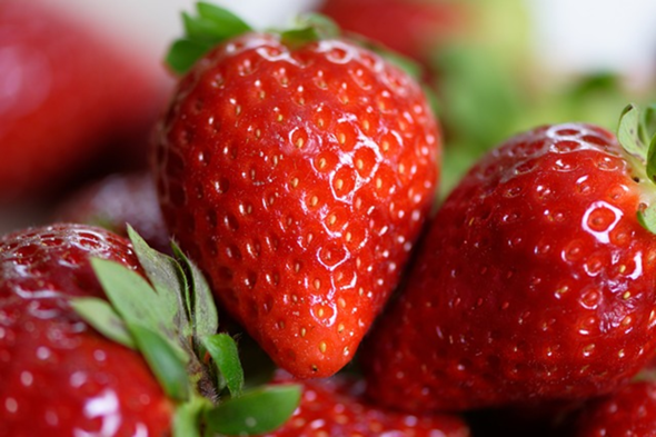 - (Pflanzen, Geschmack, Obst)