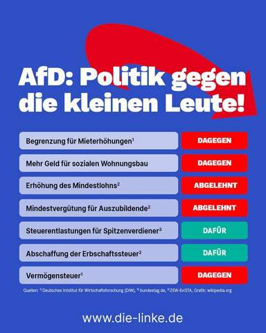 - (Gesellschaft, AfD)