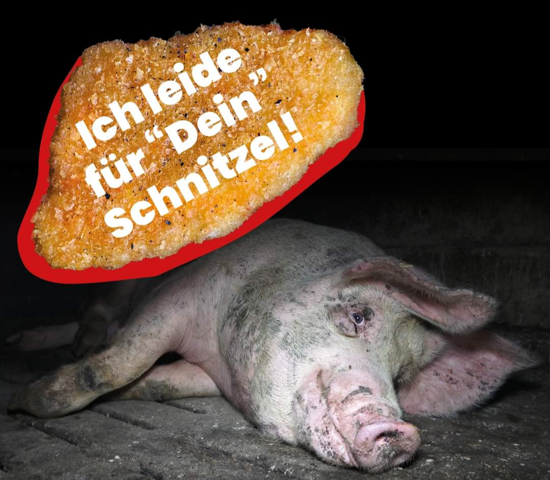 - (Kalorien, Fleisch, gesunde Ernährung)