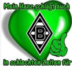 - (Fußball, Bundesliga, Verein)