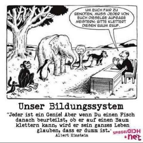 - (Schule, Liebe, Studium)