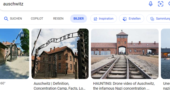 Bild zum Beitrag