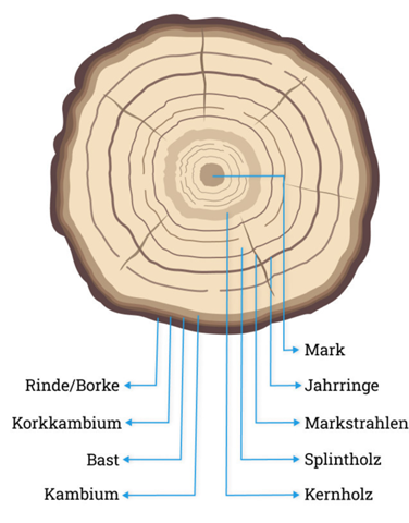 Bild zum Beitrag