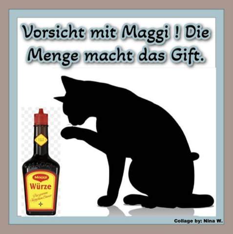 - (Katze, Kater, Tiermedizin)