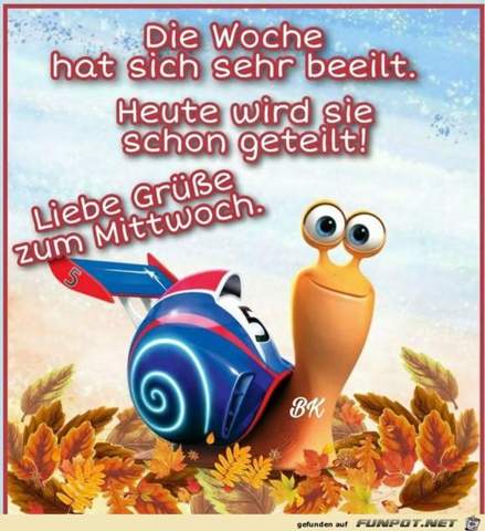 - (Auto, gutefrage.net, gutefrage-Nutzer)