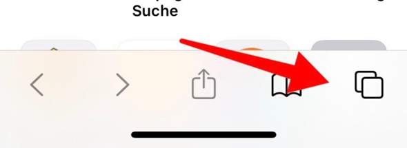 - (Apple, iPhone, Privat)