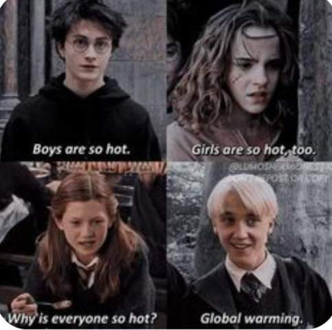 - (Kino, Fantasy, Harry Potter)