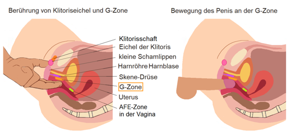 Bild zum Beitrag