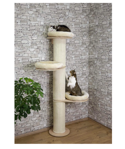 - (Tierhaltung, Tiermedizin, Hauskatze)