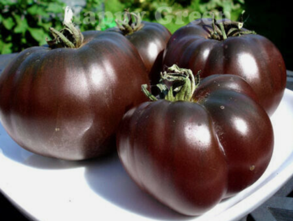 - (Pflanzen, Gemüse, Obst)