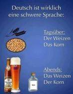 - (Schule, Menschen, Lernen)