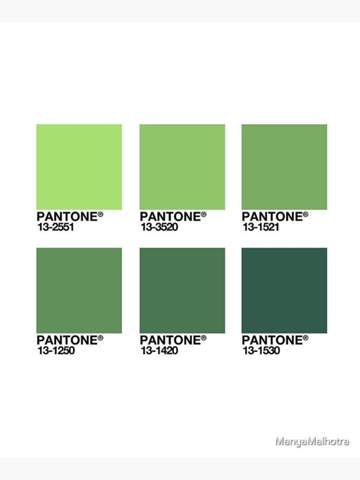 - (Farbe, wichtige Dinge)