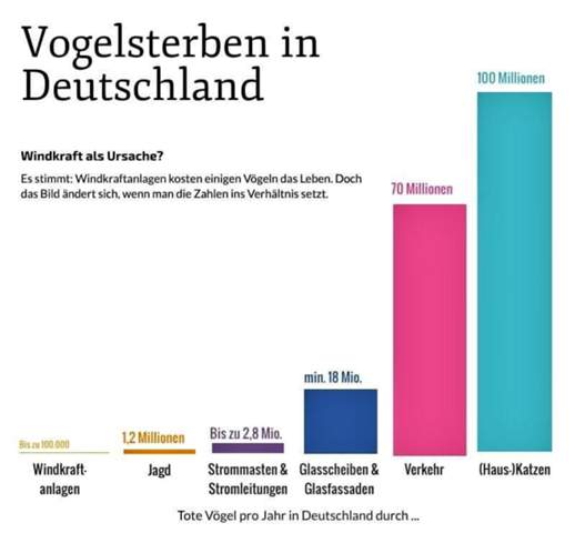 - (Menschen, Vögel, Windrad)