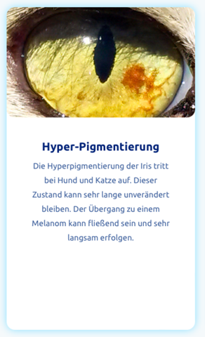 - (Medizin, Katze, Entzündung)