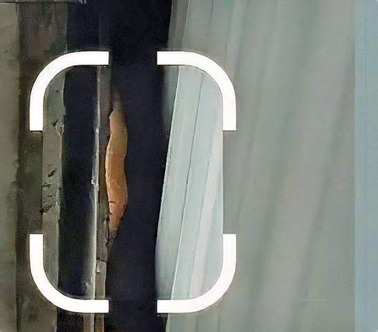 - (Insekten, Nest)