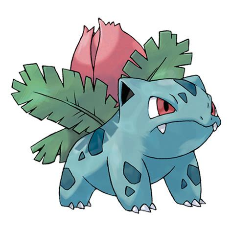  - (Pokemon, Pokemon Go, Pokemonkarten)